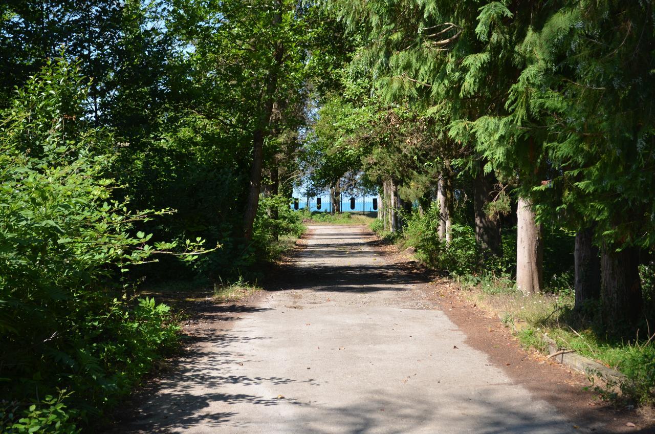 Solnechny Bereg Guest House Gudauta Exterior foto