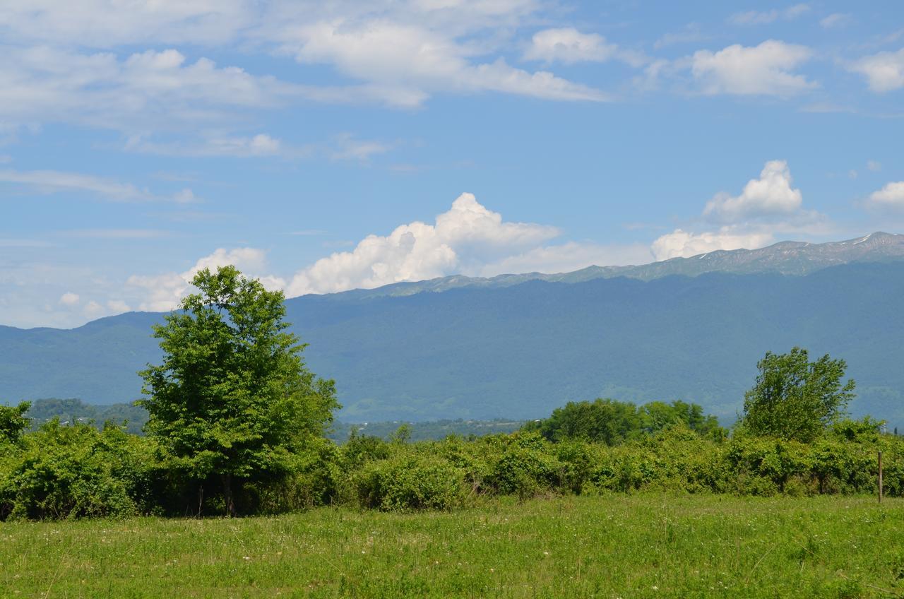 Solnechny Bereg Guest House Gudauta Exterior foto